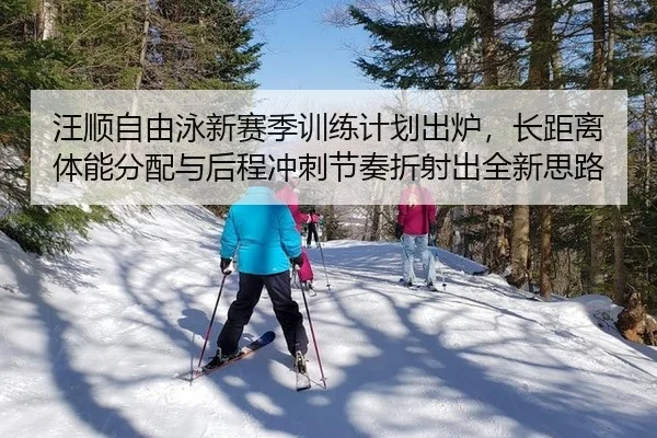 汪顺自由泳新赛季训练计划出炉，长距离体能分配与后程冲刺节奏折射出全新思路